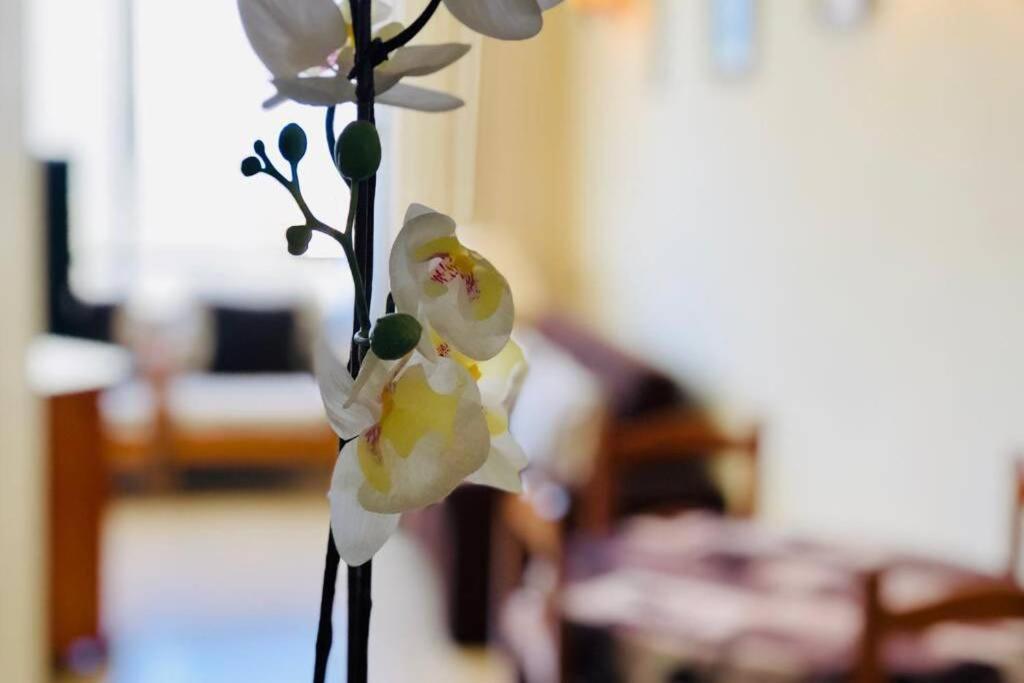 Cozy Apartment Playa Las Americas Playa de las Americas  Ngoại thất bức ảnh